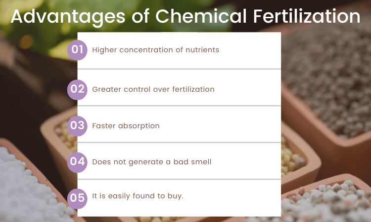 Image Name Advantages of Chemical Fertilization