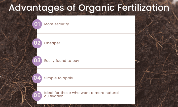 Image Name Advantages of Organic Fertilization
