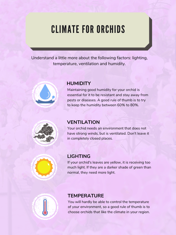 Image Name CLIMATE FOR ORCHIDS