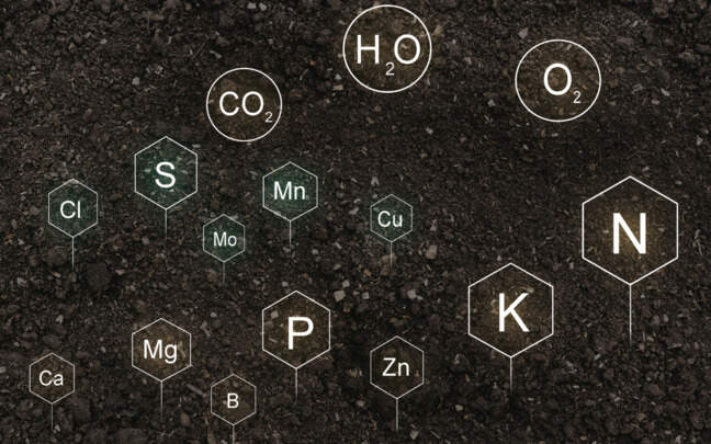 Image Name Macronutrients And Micronutrients