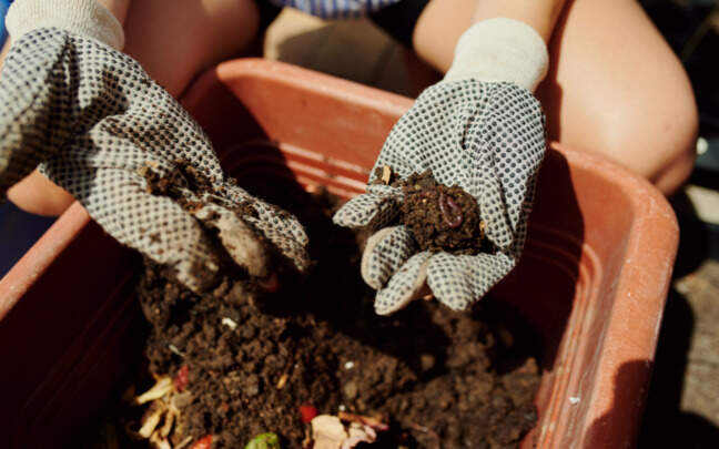 Image Name Organic Fertilizers