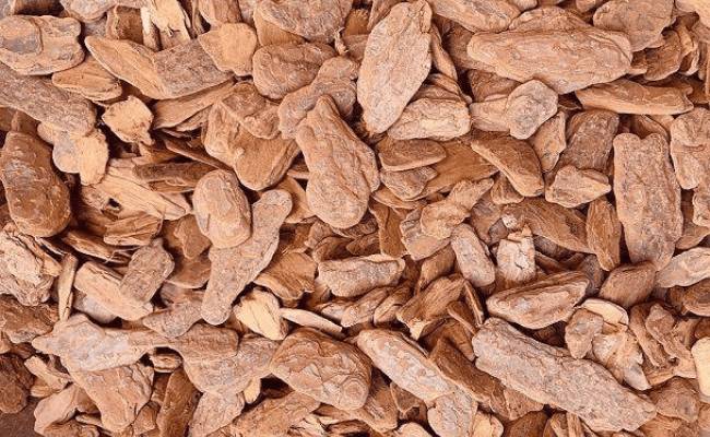 Image Name Pine Bark