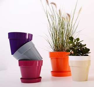 Image Name Plastic Pots