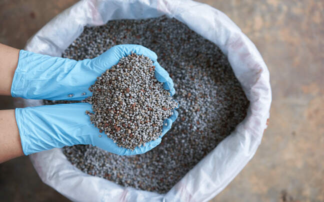 Image Name Types Of Fertilizers For Orchids