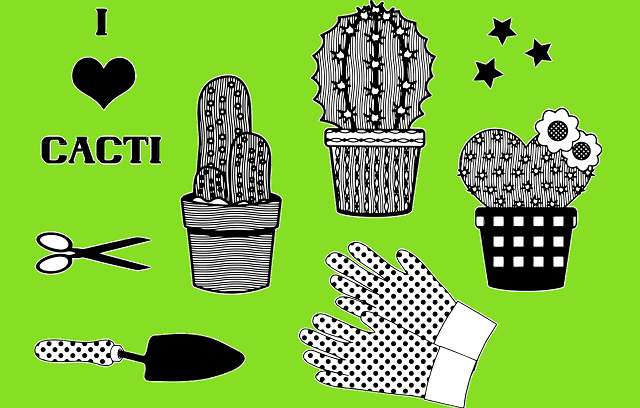 Image Name Repotting